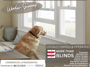 Unleash Fresh Air, Keep Pests At Bay