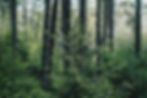 EDURA sustainble construction solutions in Maine