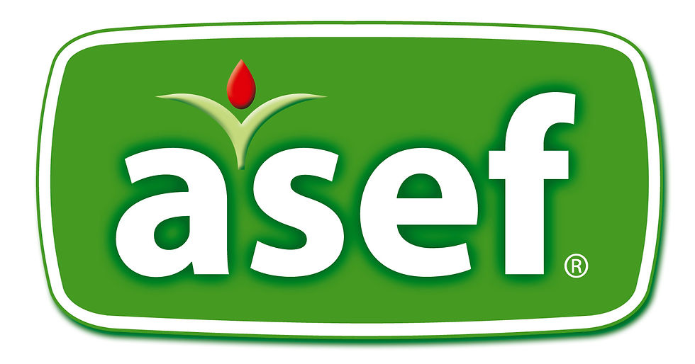 Assez