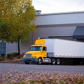 rs=w_1200,h_1200 (11).jpeg