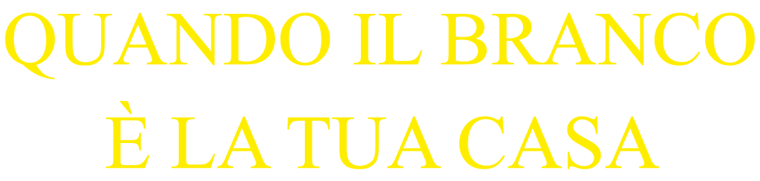 Quando il branco è la tua casa