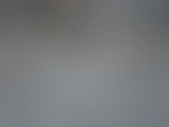 西染物店のこれまでとこれからのこと