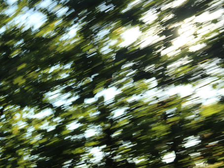 Desenfoca las mentiras