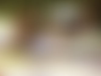 SI CREO QUE TÚ PROVEES