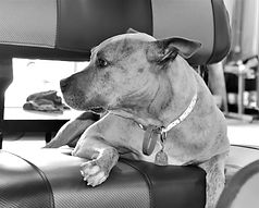 IMG_0102 (2)_edited.jpg