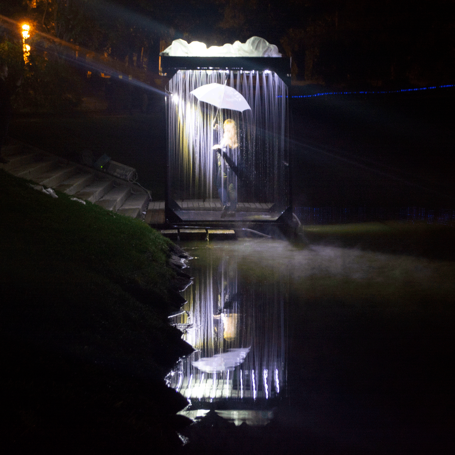DSC_0231-2.gif