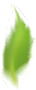 LEAVESAsset 7_4x.png