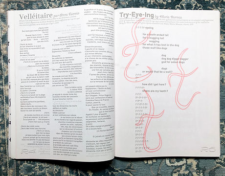 Revue littéraire collective art contemporain poésie Phylactère Patati patata Anna Tuccio