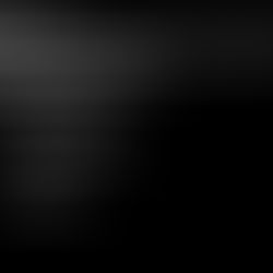 VSFX 406 Blog 6: Observation Analysis Final