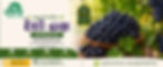 Organic Grapes