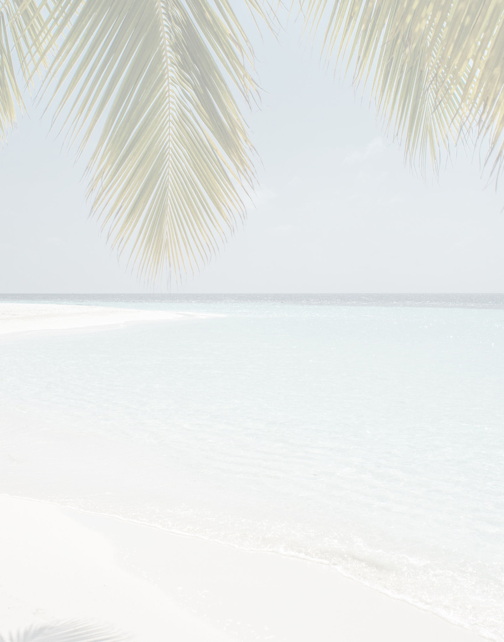 green coconut tree beside beach_edited.jpg