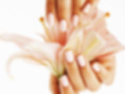AdobeStock_97155885.jpeg