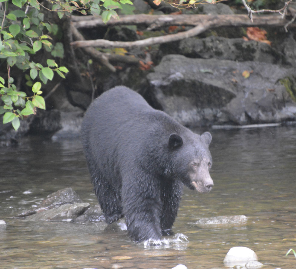 DSC_5077 2_edited.jpg