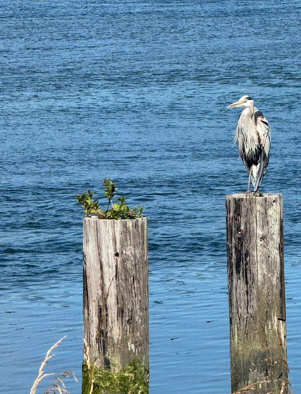 IMG_5620_edited.jpg