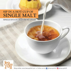 sunboard for exhibition_Page_3