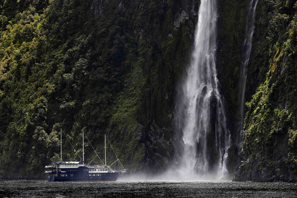 RealNZ-Milford-Mariner-Cruises copy.jpeg