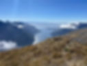 IMG_6940.jpg
