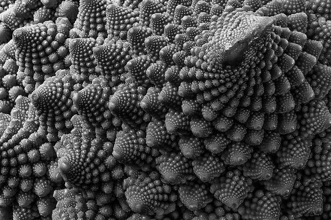 ebor-romanesco-5020778_1280.jpg
