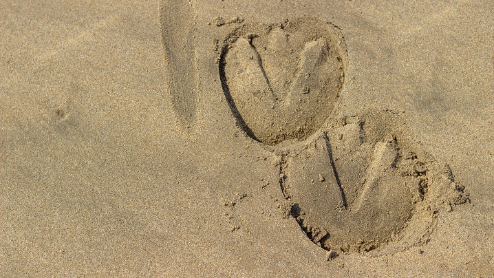 Sandy Hoof Prints Shutterstock.jpg