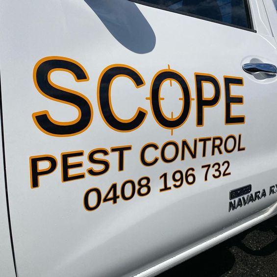 vehicle graphics by beyond print 32