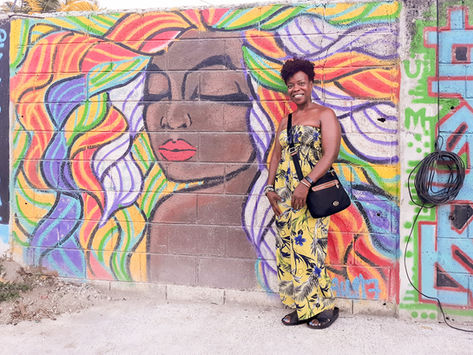 The Solo Dolo Traveler Version: