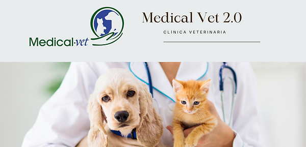Medical Vet 2.0.png