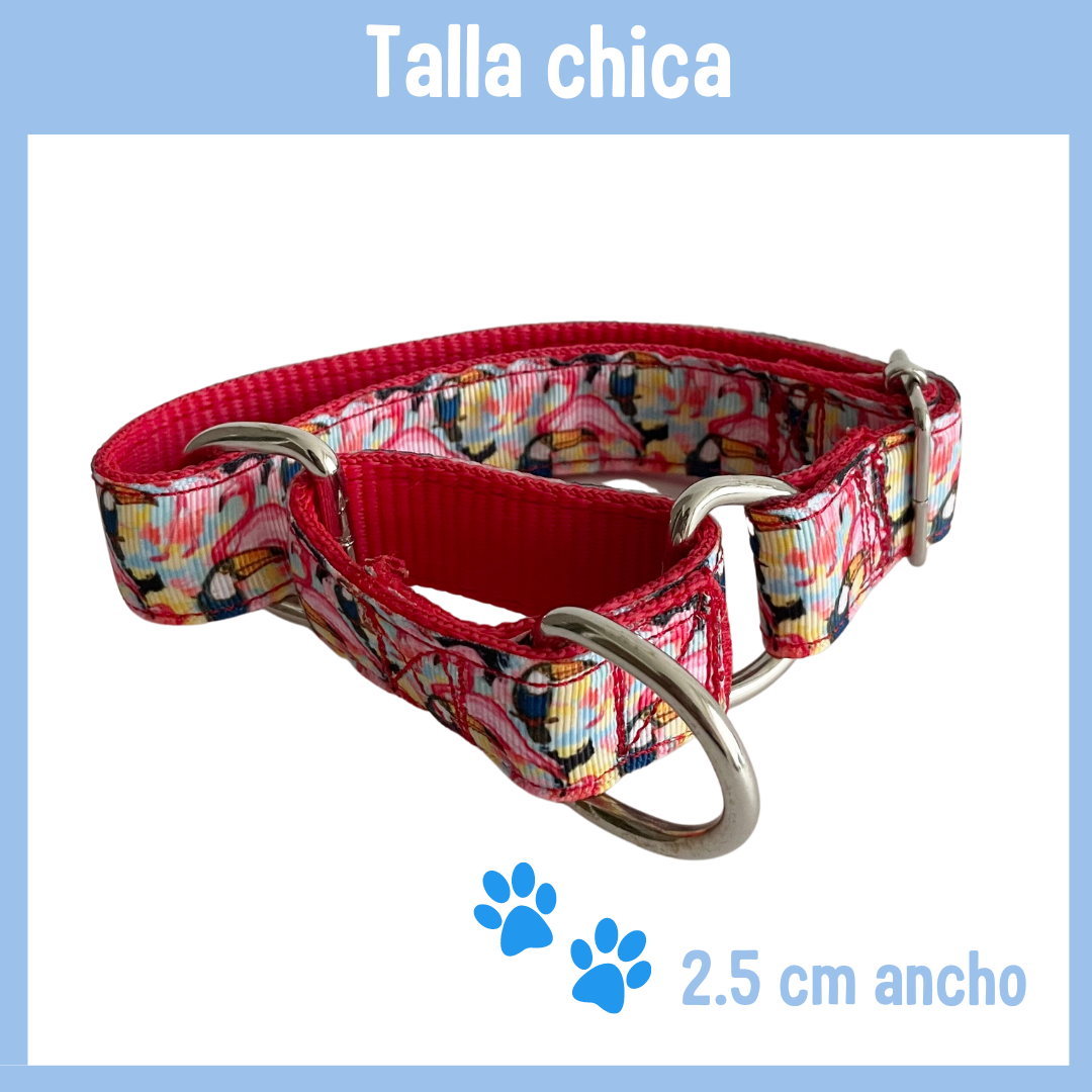Collar Martingale diseño tropical rojo CHICO