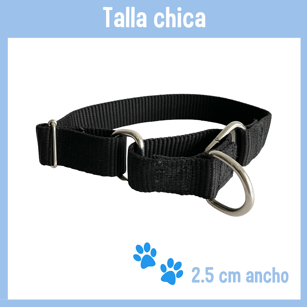Collar Martingale negro CHICO
