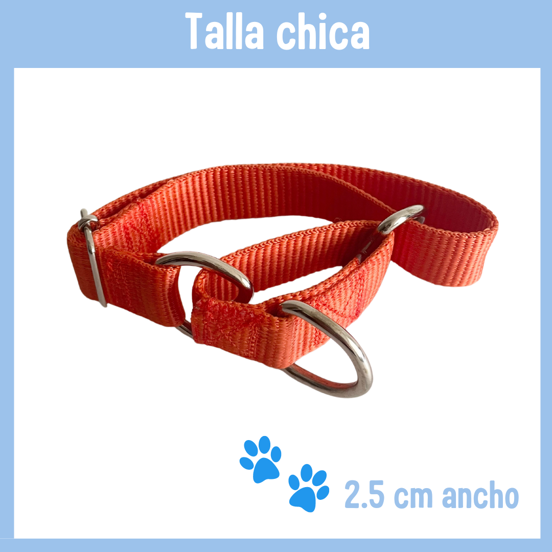 Orange Martingale necklace BOY