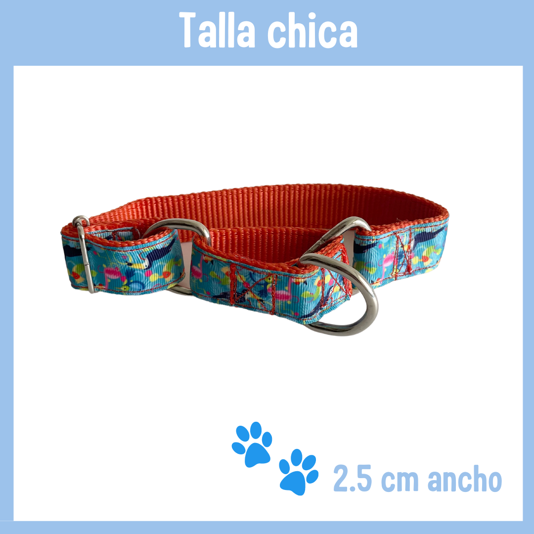 Collar Martingale tropical CHICO