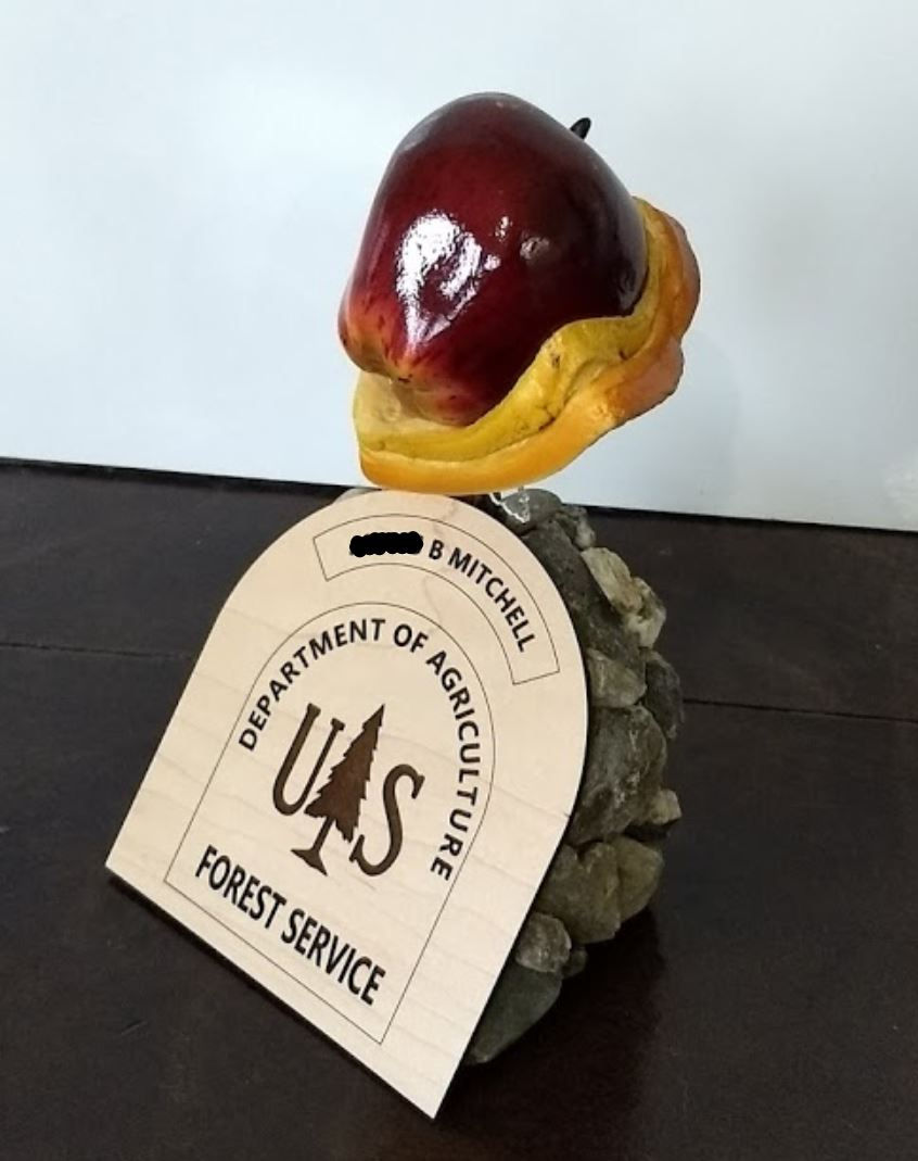 Bologna Sandwich Trophy
