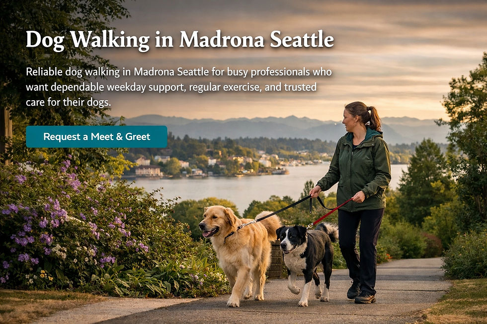 banner for Madrona dog walking_edited.jpg