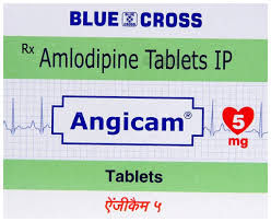 ANGICAM 5