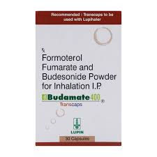 BUDAMATE 400 TRANSCAPS