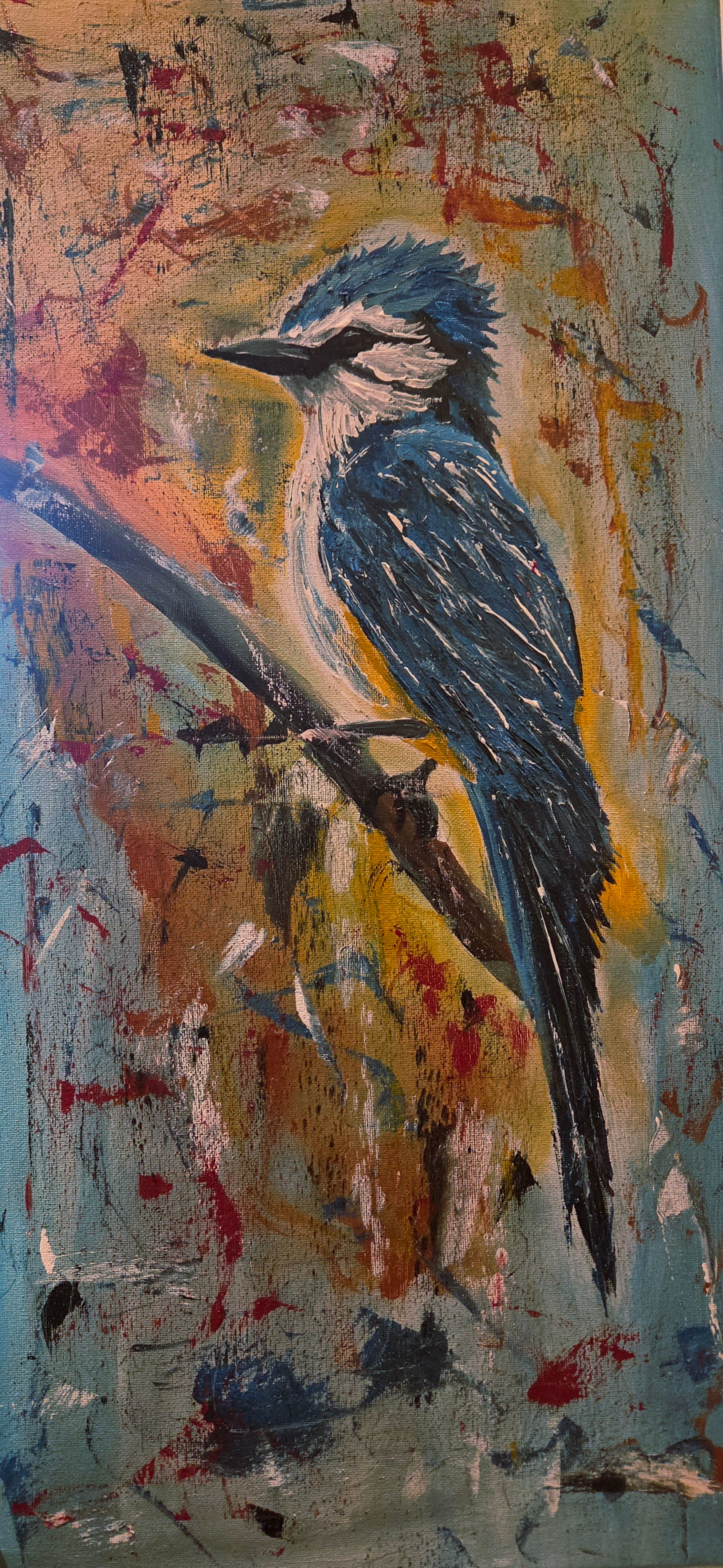 Blue Jay (Prints)