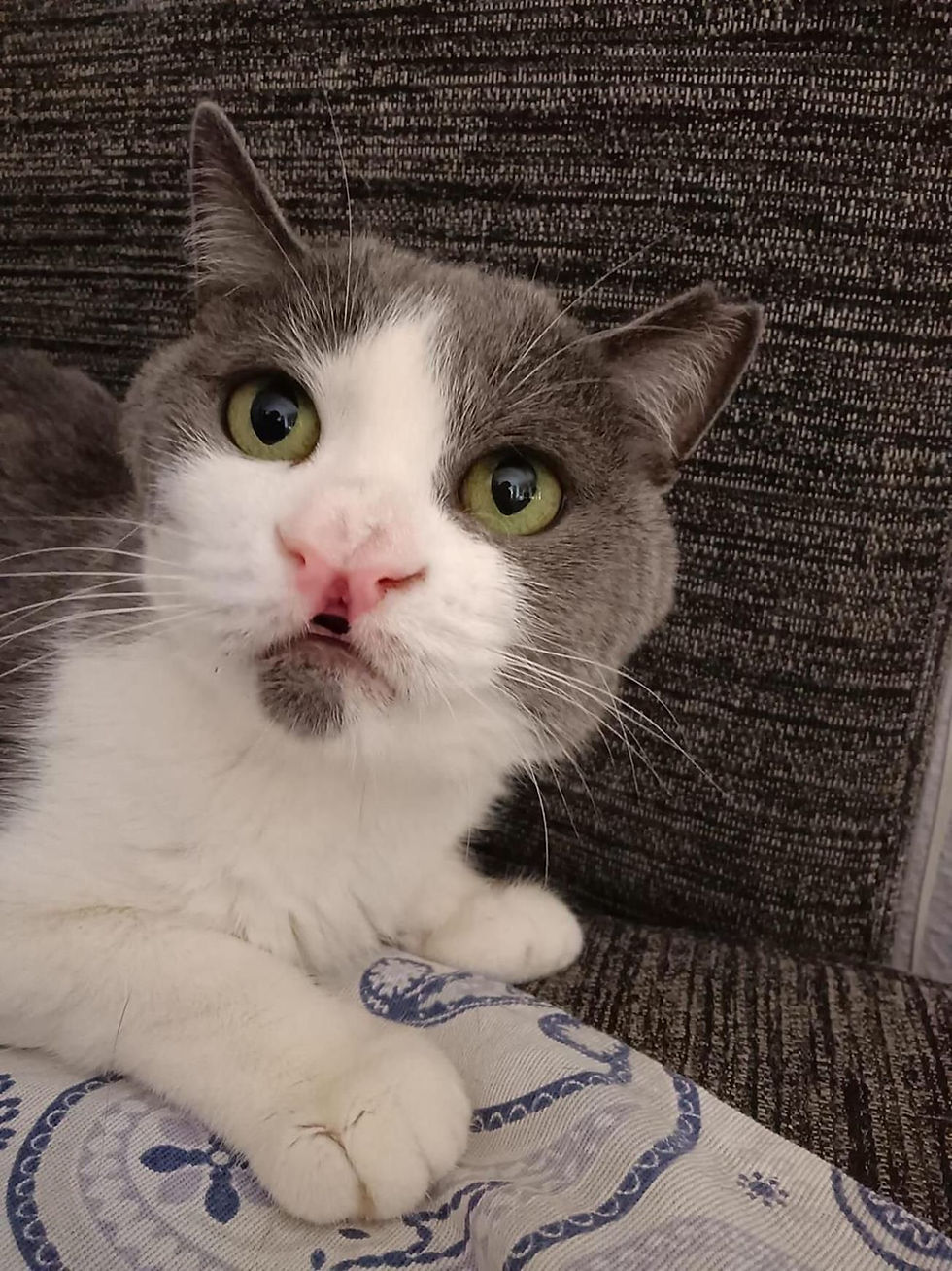 WhatsApp Image 2022-03-24 at 10.02.51 AM