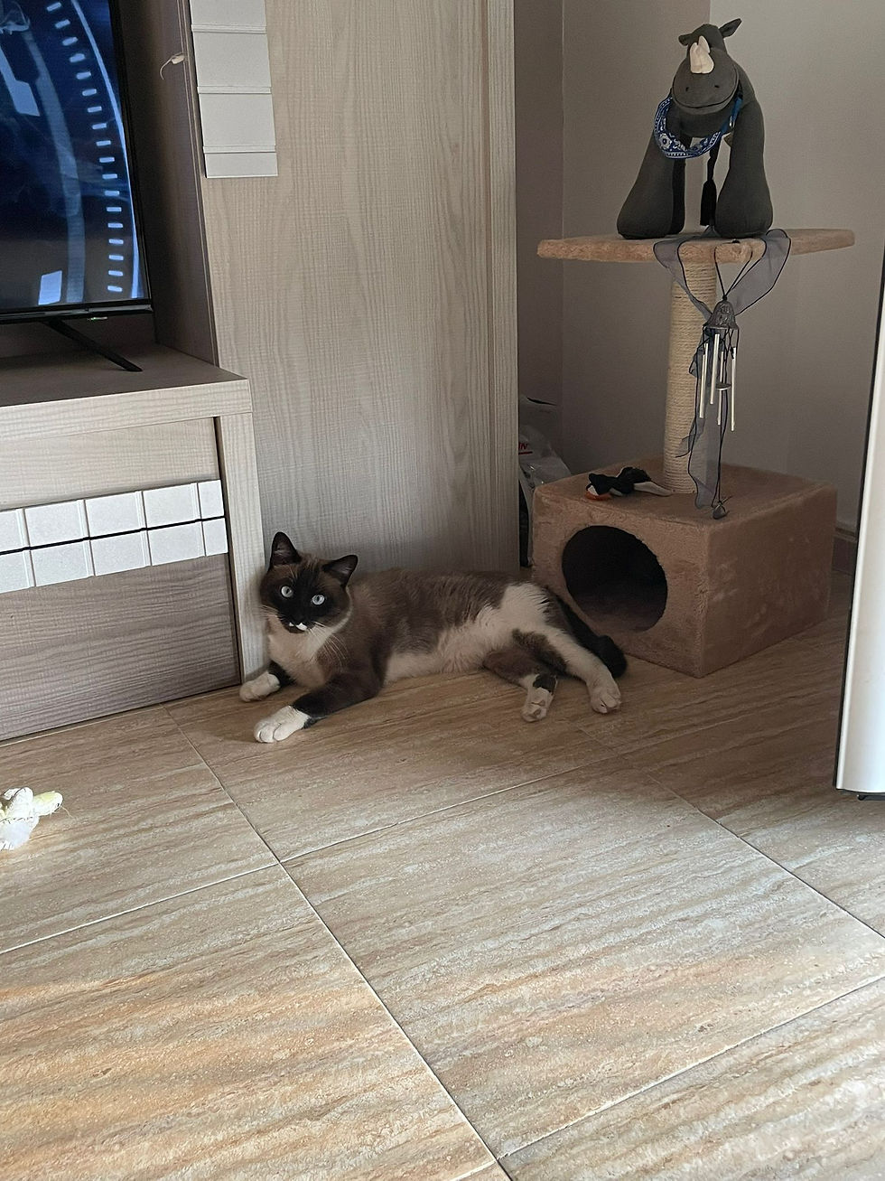 WhatsApp Image 2021-09-22 at 11.41.34