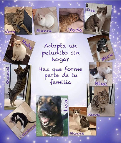 WhatsApp Image 2022-01-12 at 13.12.27.jpeg