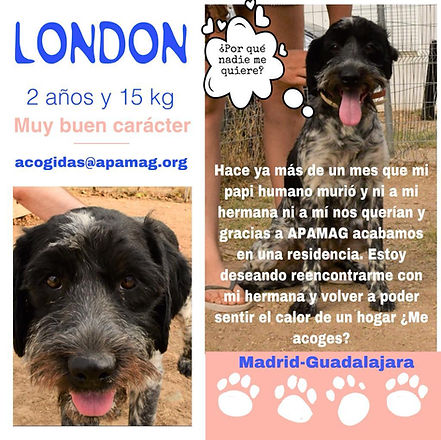 WhatsApp Image 2021-09-06 at 10.02.58.jpeg