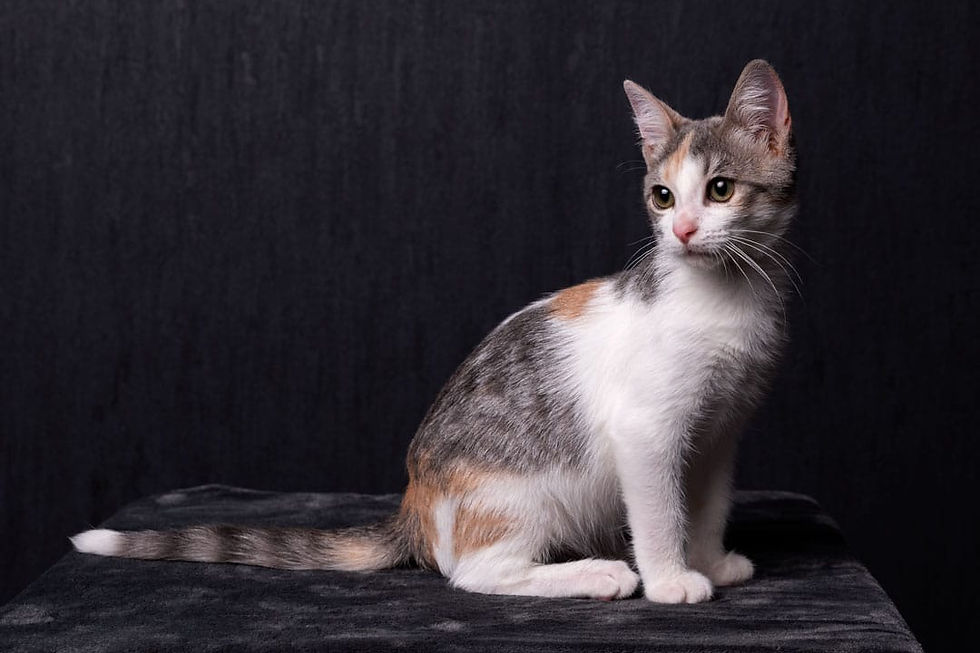 WhatsApp Image 2021-09-15 at 12.25.23