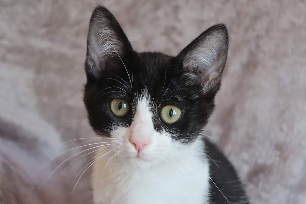 WhatsApp Image 2021-09-04 at 10.49.22 (4)