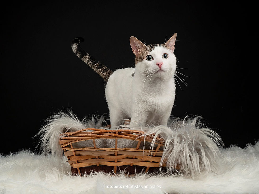 WhatsApp Image 2021-09-05 at 17.08.16 (3)