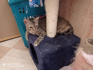 WhatsApp Image 2021-11-15 at 12.44.59.jpeg