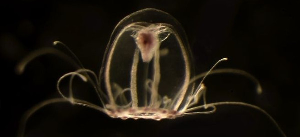 photo_2022-09-01 01.19.29.jpeg