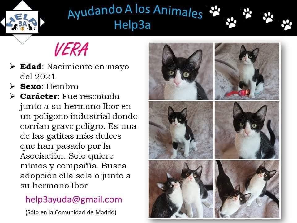 WhatsApp Image 2021-09-04 at 10.49.22