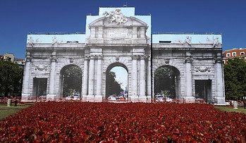 photo_2022-07-31 01.00.32.jpeg