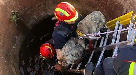 photo_2022-08-10 19.38.37.jpeg