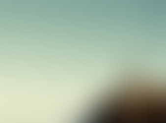 Coaching - was ist das?