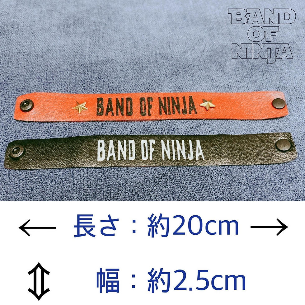 サムネイル： BAND OF BAND OF NINJA