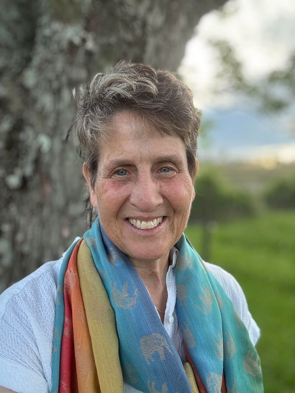 Lisa Bromfield Transformational Life Guide, Speaker, Author